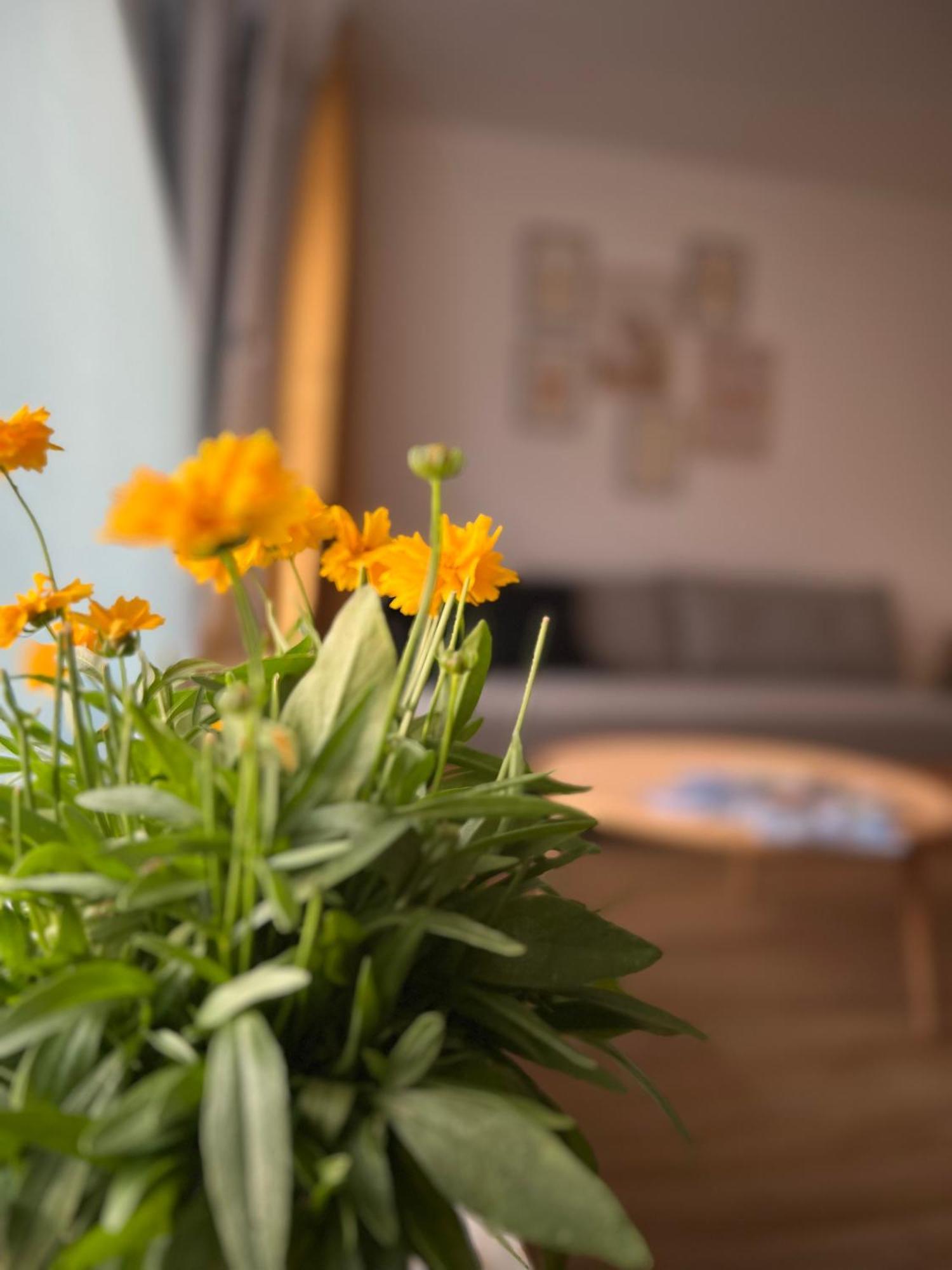 Ferienwohnung Sonneck Оберштауфен Екстер'єр фото